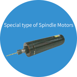 Special type of Spindle Motors